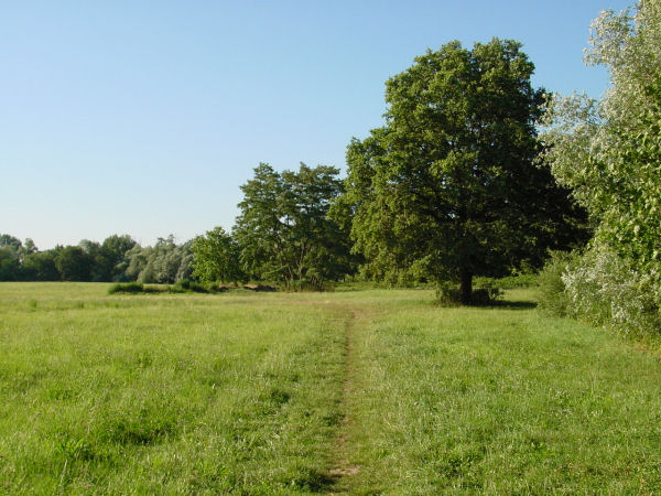 Eckbolsheim au bord de la Bruche