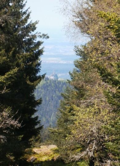 Le rocher du Dabo vu du Schneeberg